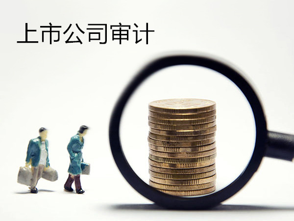 上市公司審計.jpg