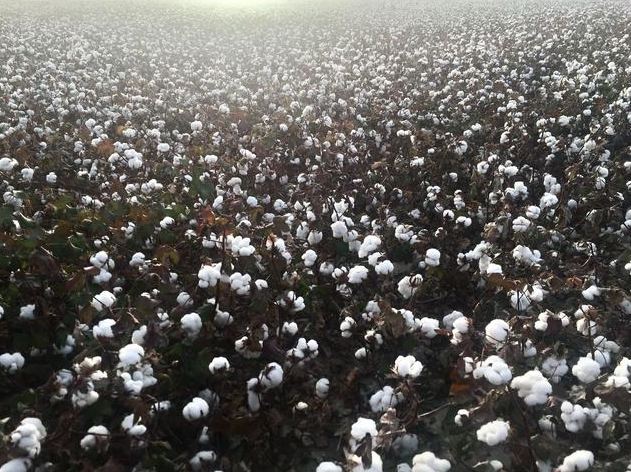 無人機值保.png 無人機值保.png